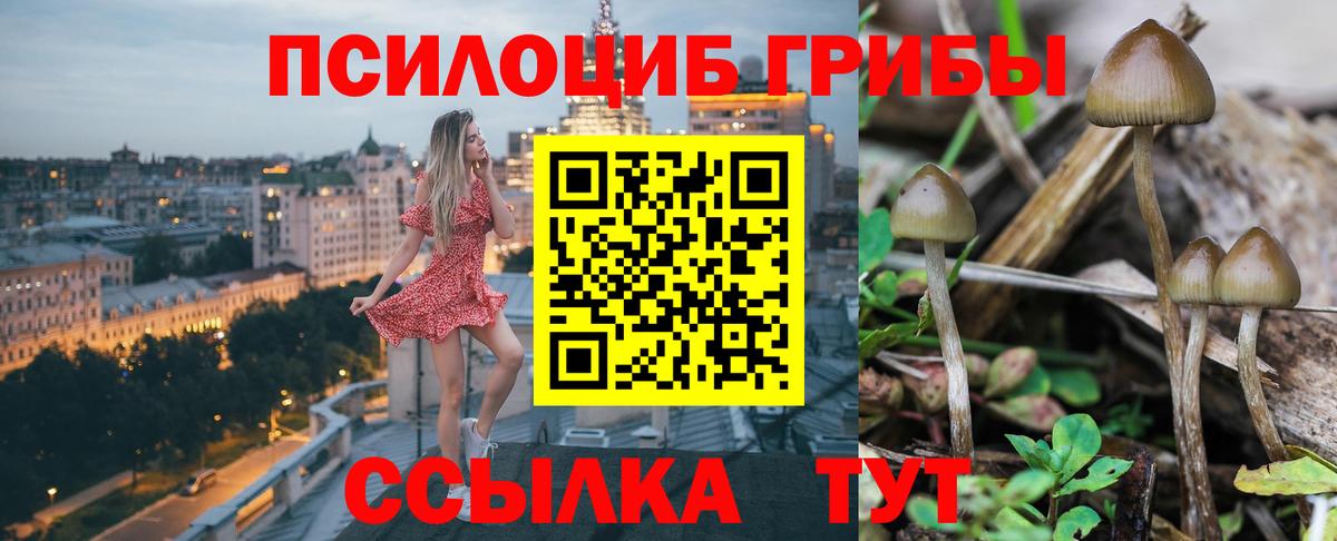 Псилоцибиновые грибы ЛСД  Галлюциногенные грибы GOLDEN TEACHER  где продают наркотики  Вход с VPN  Долгопрудный 